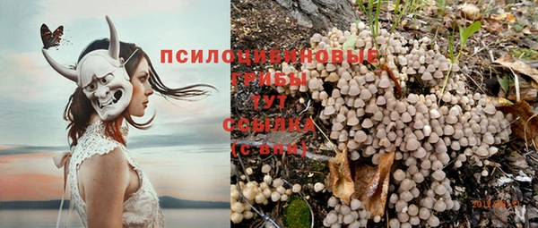 кокс Абинск