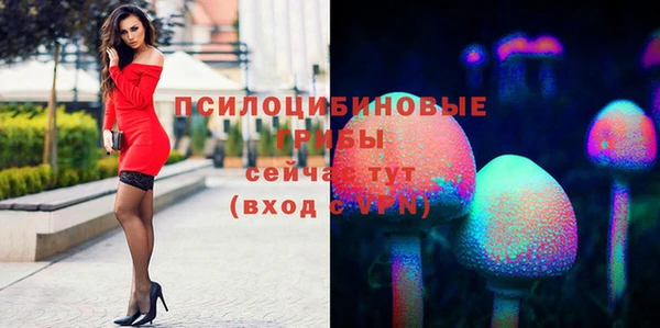 Альфа ПВП Алексеевка