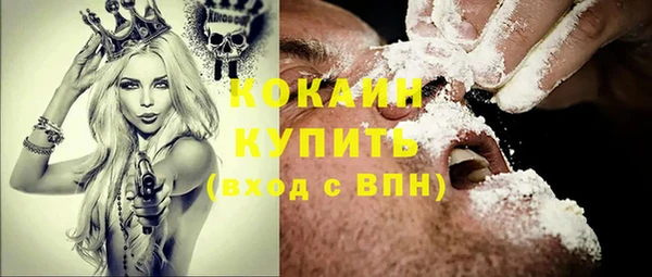 твердый Алексин