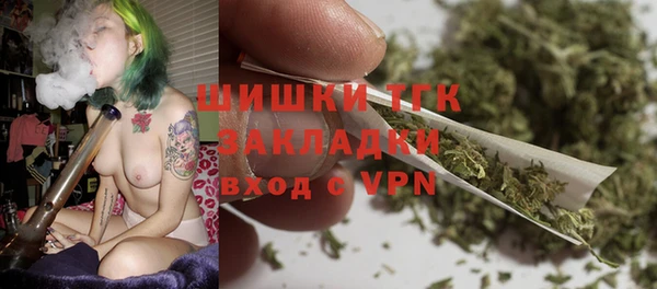 сатива Абаза