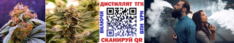 блэк спрут зеркало  Саратов  Дистиллят ТГК концентрат 