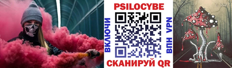 купить наркотики сайты  OMG сайт  Псилоцибиновые грибы Magic Shrooms  Саратов 