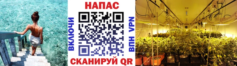 Каннабис VHQ  дарк нет телеграм  Саратов  что такое  